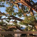Sunny, Modern Διαμέρισμα *