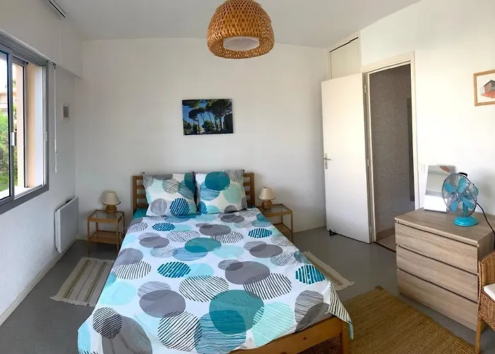 Sunny, Modern
