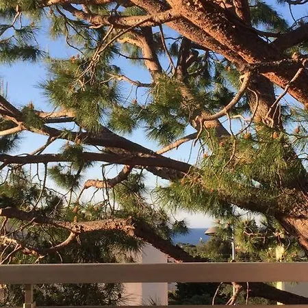 Sunny, Modern Apartment *